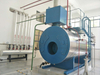 Energy Saving Steam Boiler Tank for EPS Plant